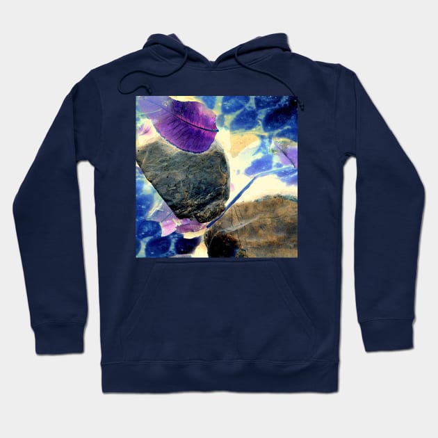 Abstract Nature Elements Hoodie by bonnieblu